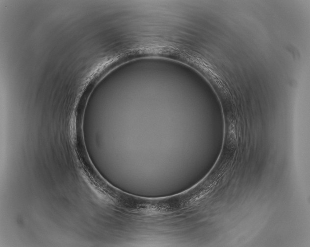 X0000112100678200908041511