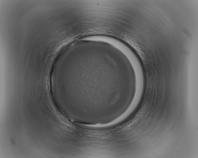 X0000112100681200908041511