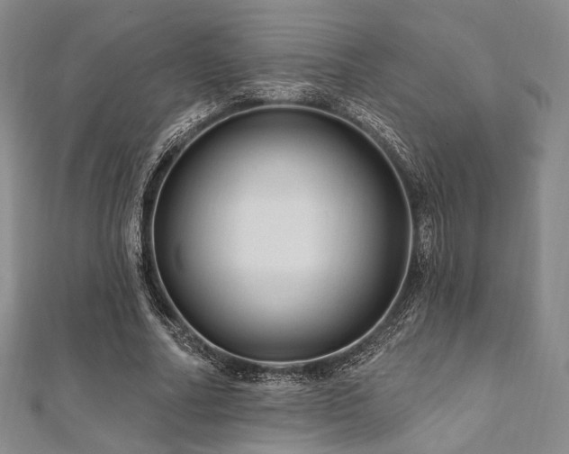 X0000112100682200908041511