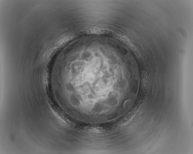 X0000112100683200908041511