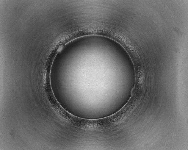 X0000112100685200908041511