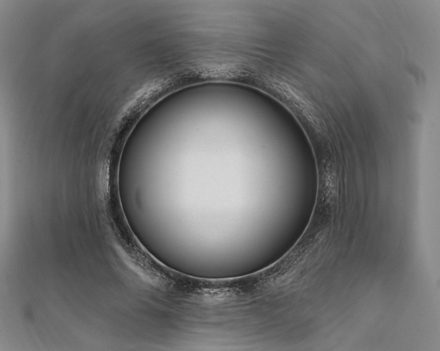 X0000112100686200908041511