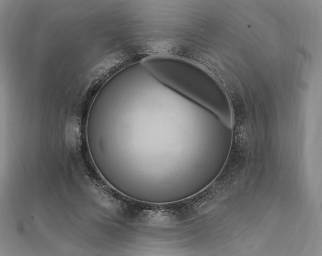 X0000112100688200908041511