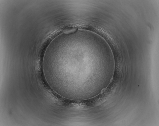 X0000112100689200908041511