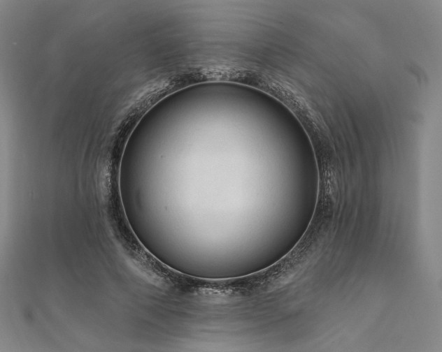 X0000112100690200908041511