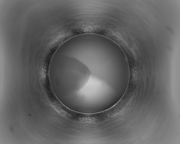 X0000112100691200908041511