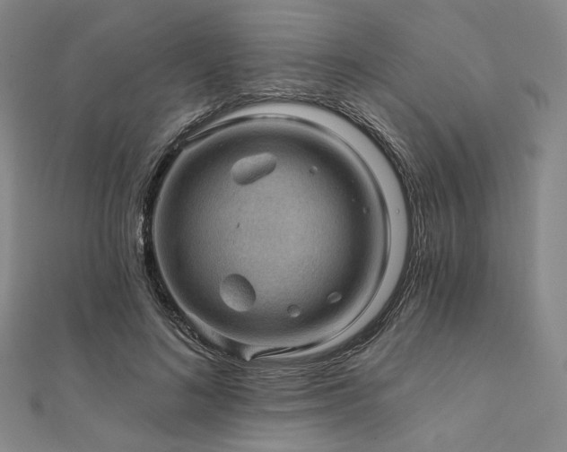 X0000112100692200908041511