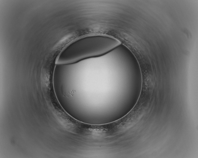 X0000112100693200908041511