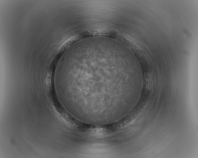 X0000112100695200908041511