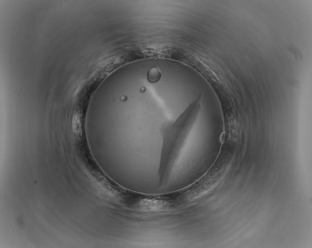 X0000112100699200908041511