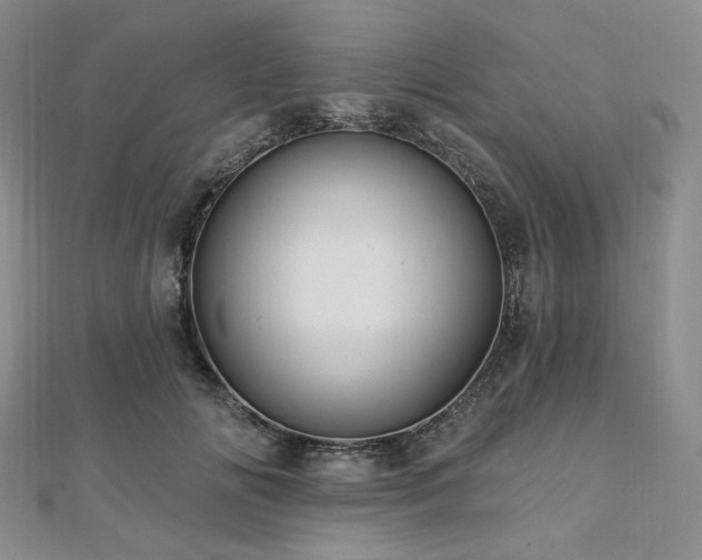 X0000112100702200908041511