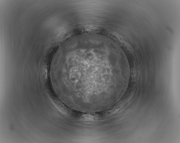 X0000112100703200908041511