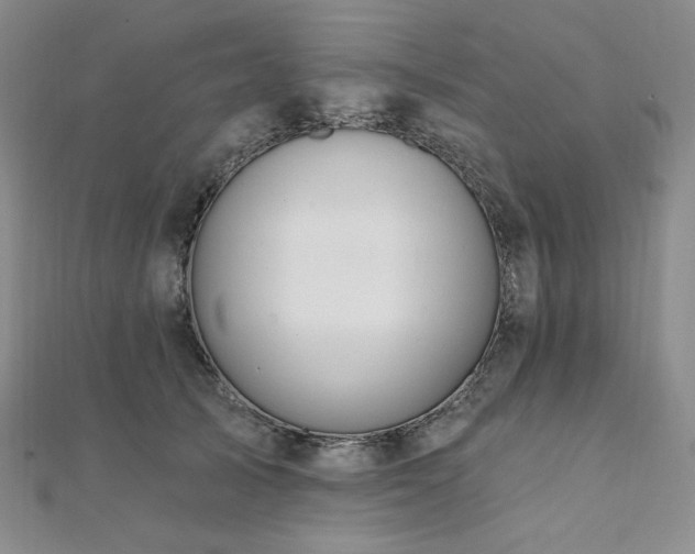 X0000112100705200908041511