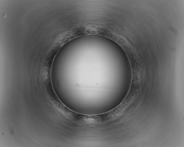 X0000112100706200908041511