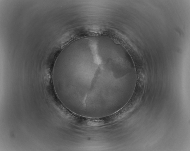 X0000112100707200908041511