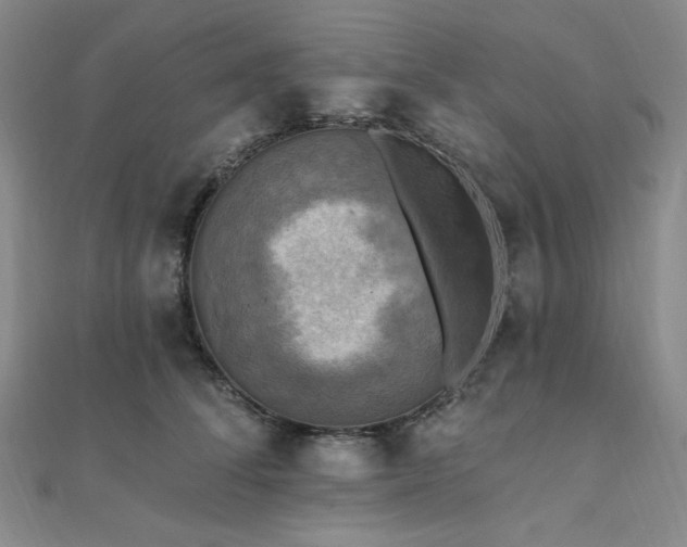 X0000112100708200908041511