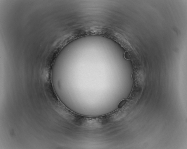 X0000112100709200908041511