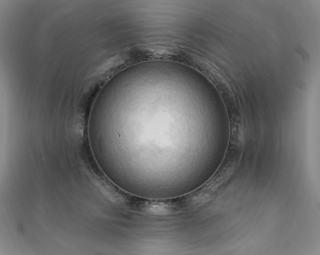 X0000112100710200908041511