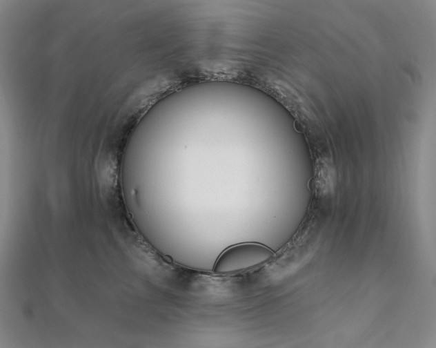 X0000112100713200908041511