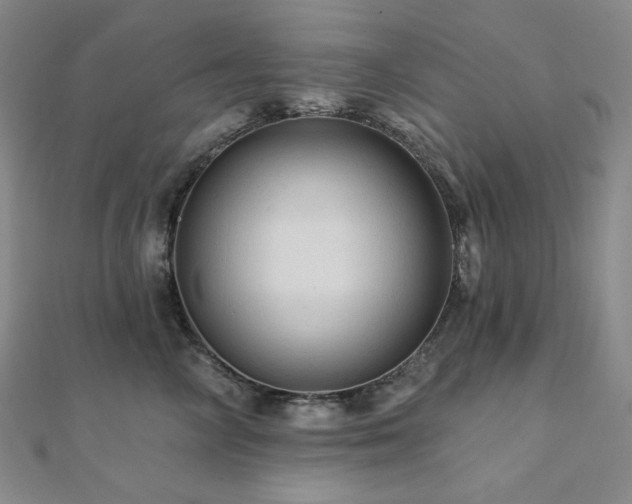 X0000112100714200908041511