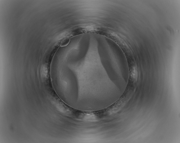 X0000112100715200908041511
