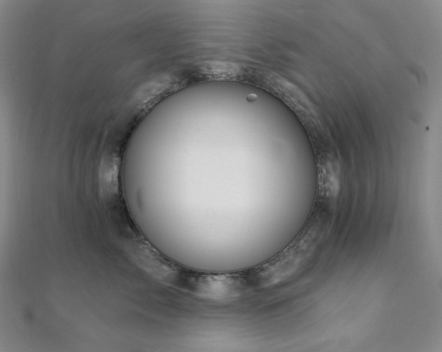 X0000112100717200908041511
