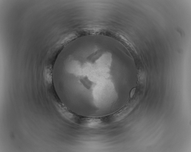 X0000112100719200908041511