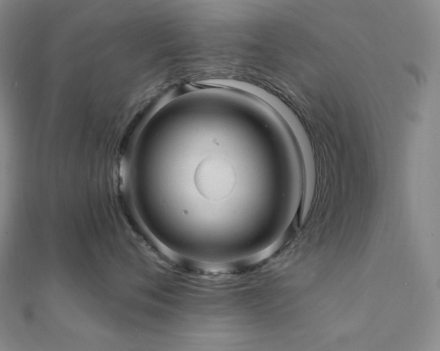 X0000112100720200908041511