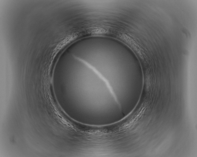 X0000112100721200908041510