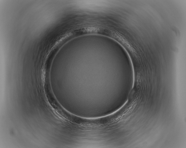 X0000112100722200908041510