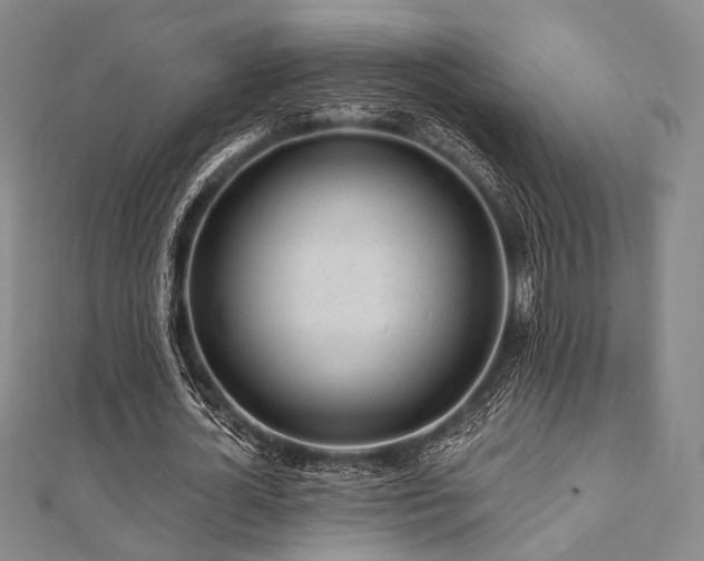 X0000112100724200908041510