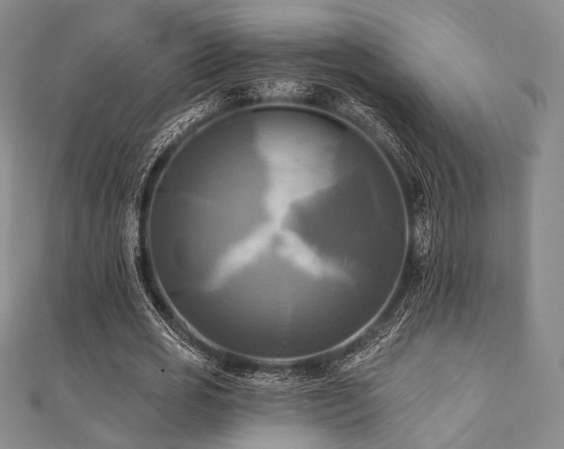 X0000112100725200908041510