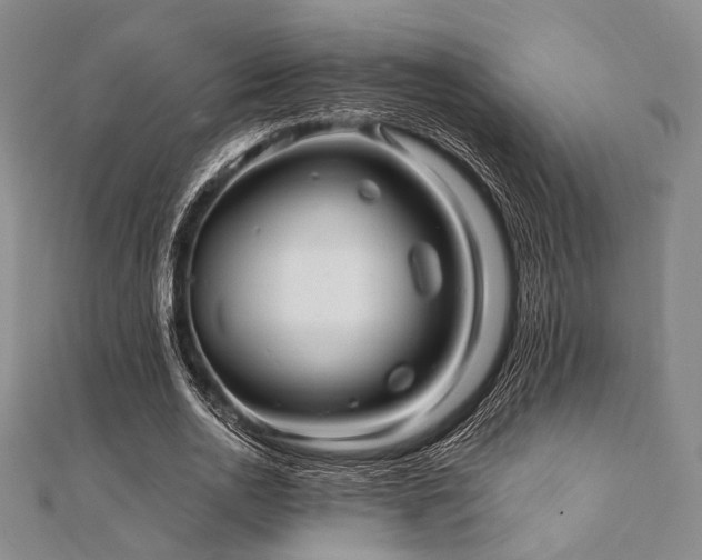 X0000112100726200908041510