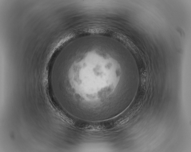 X0000112100727200908041510
