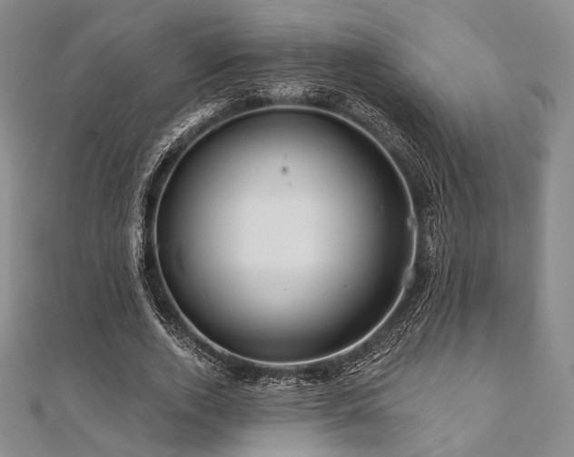 X0000112100728200908041510