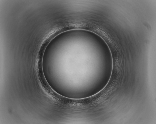 X0000112100730200908041510