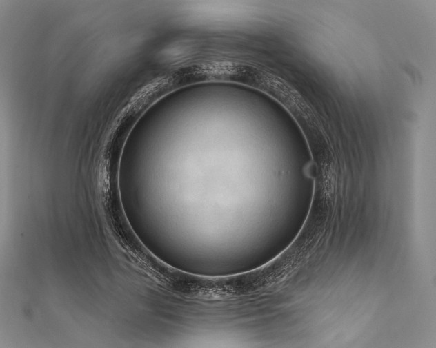 X0000112100731200908041510