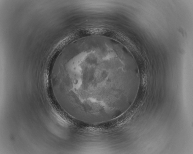 X0000112100733200908041510