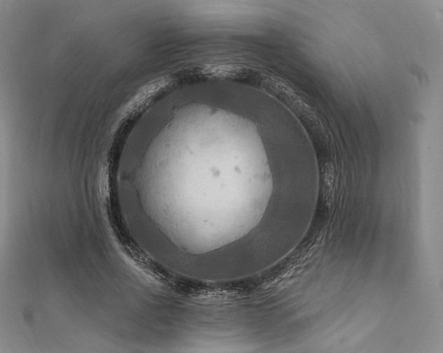 X0000112100734200908041510