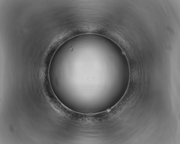 X0000112100736200908041510