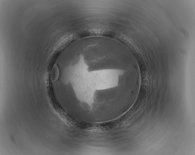 X0000112100738200908041511