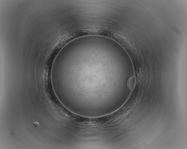 X0000112100739200908041511