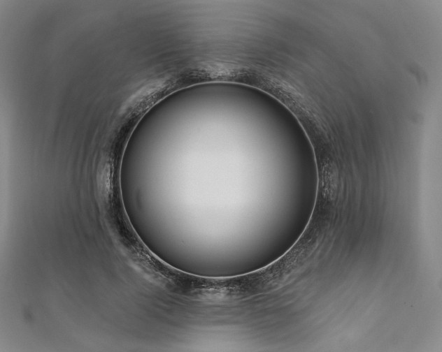 X0000112100740200908041511