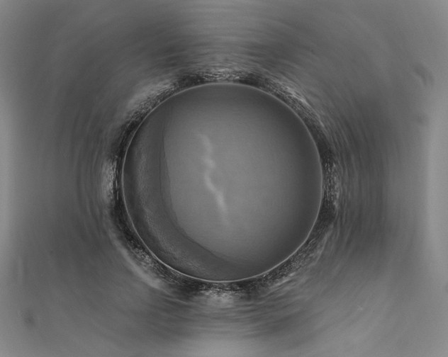 X0000112100742200908041511
