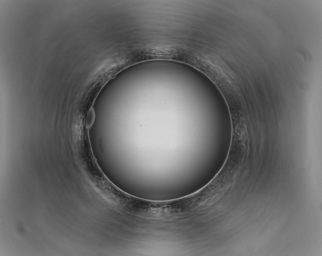 X0000112100744200908041511