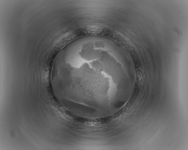 X0000112100745200908041511