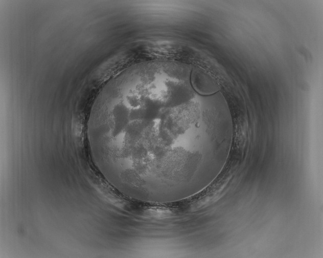 X0000112100749200908041511