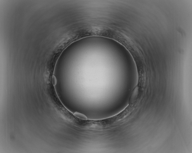 X0000112100750200908041511