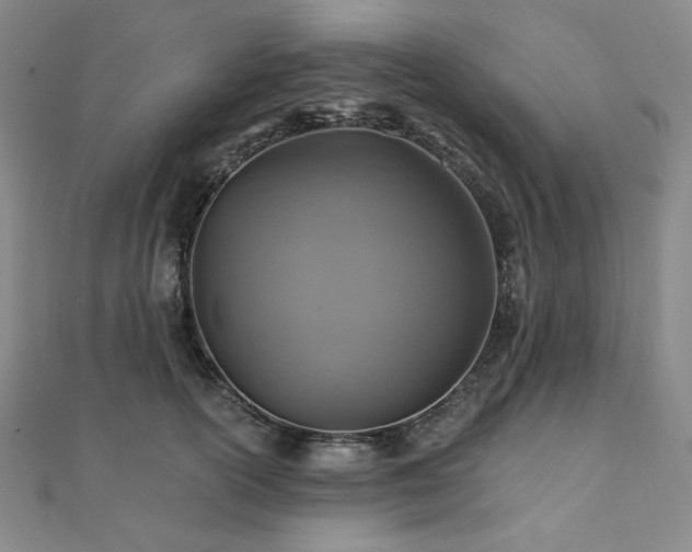 X0000112100754200908041511