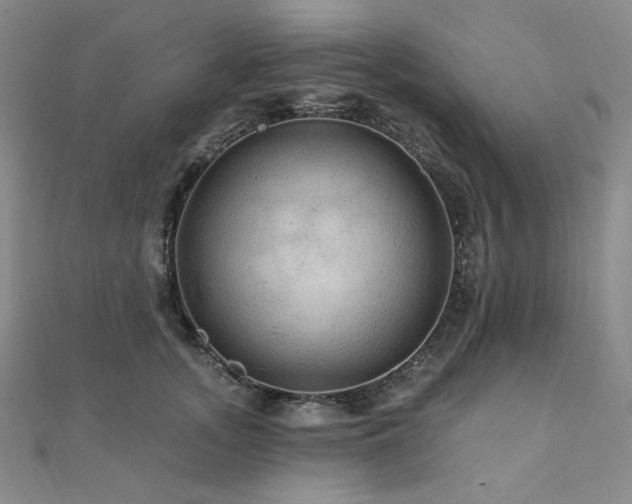 X0000112100755200908041511